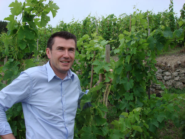 Jerome Despesse - Cornas 2016