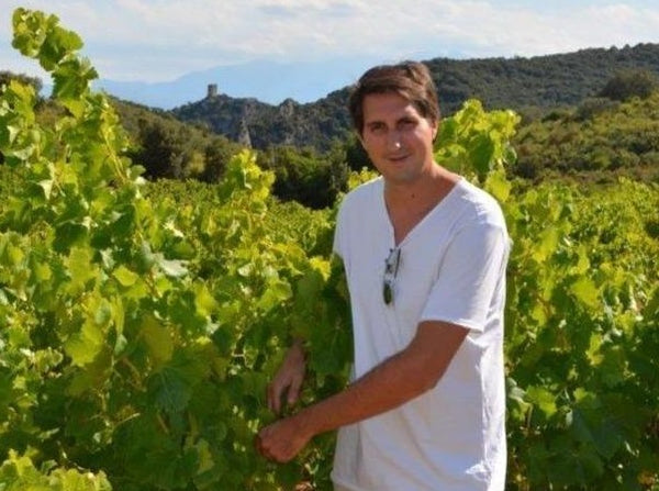 Clos del Rey - Cotes de Roussillon Villages - Le Sabina