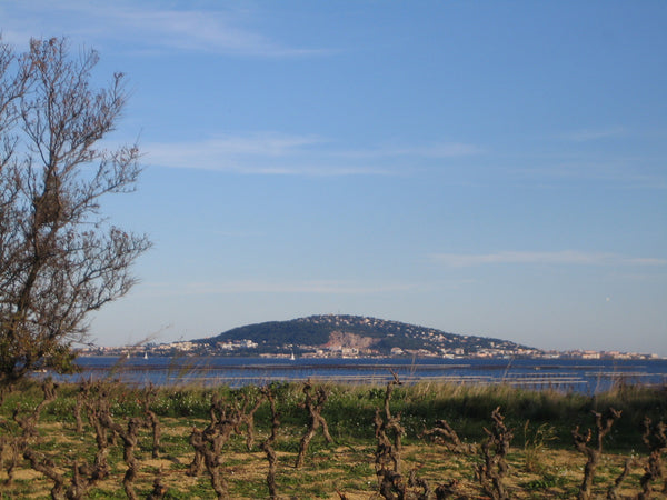 La Croix Gratiot - Picpoul de Pinet 2020