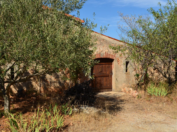 Clos del Rey - Cotes de Roussillon Villages - Le Sabina